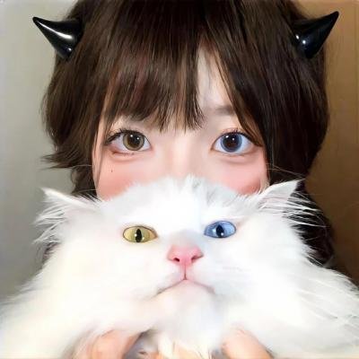 纸牌屋