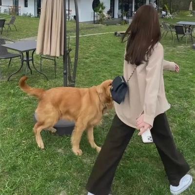 飞车载卿情